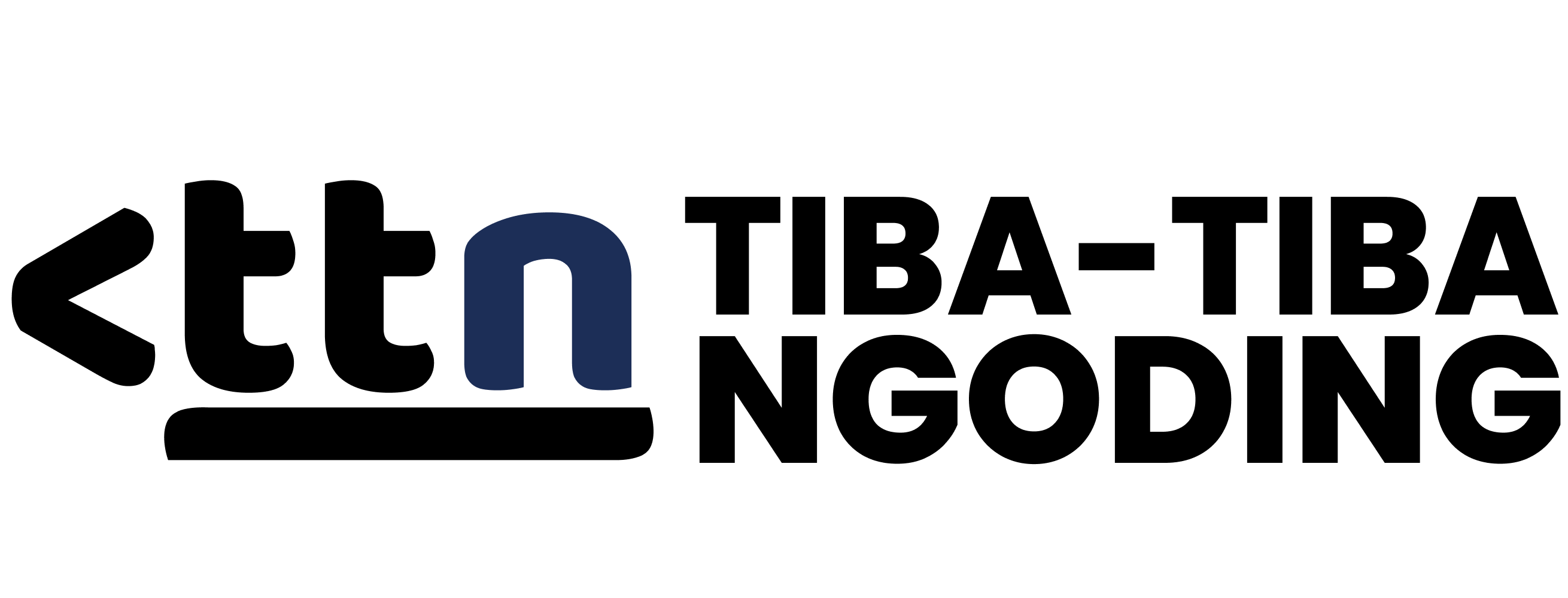 TTN Logo Black