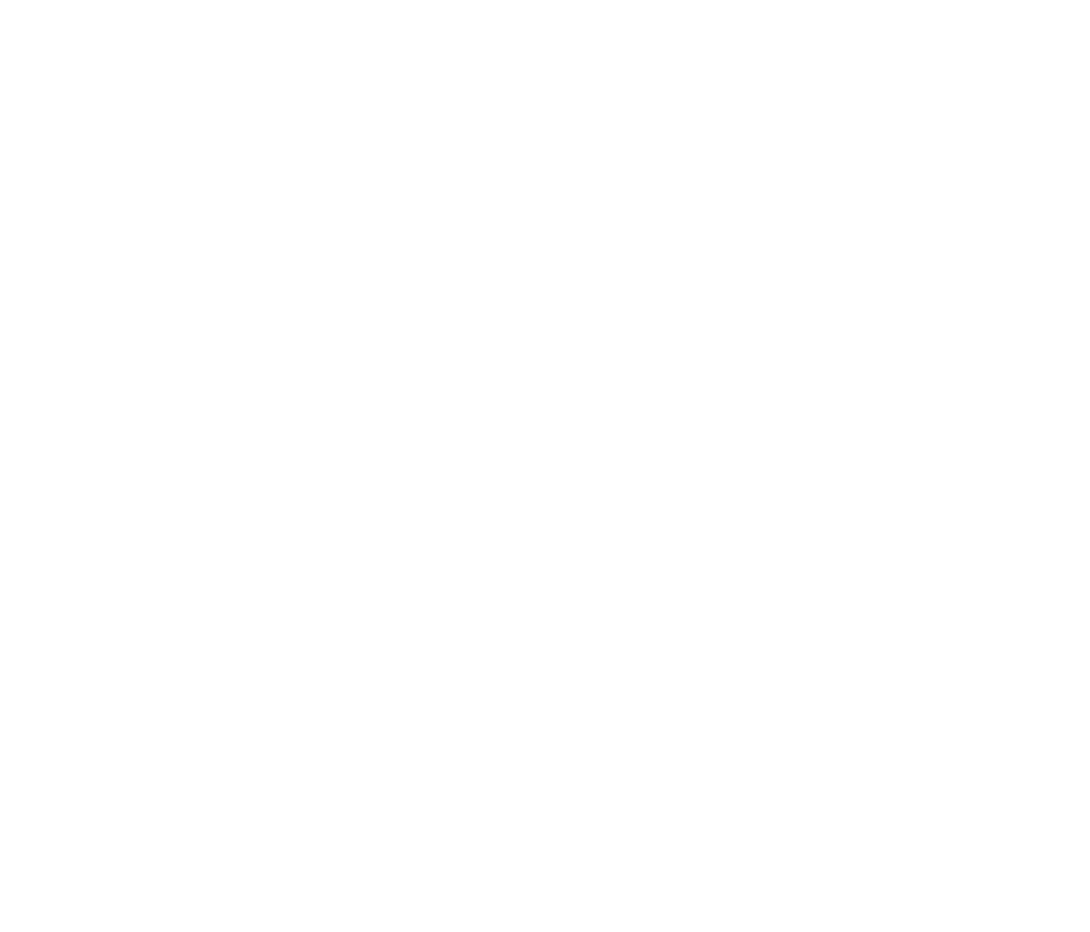TTN Logo White