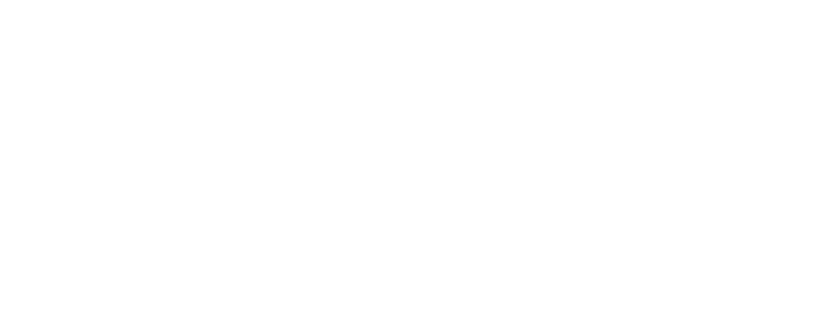 TTN Logo White